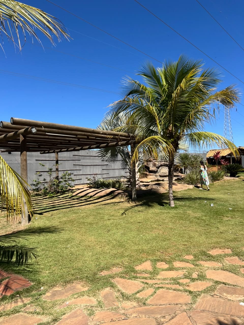 Pergolado de madeira em jardim ensolarado
