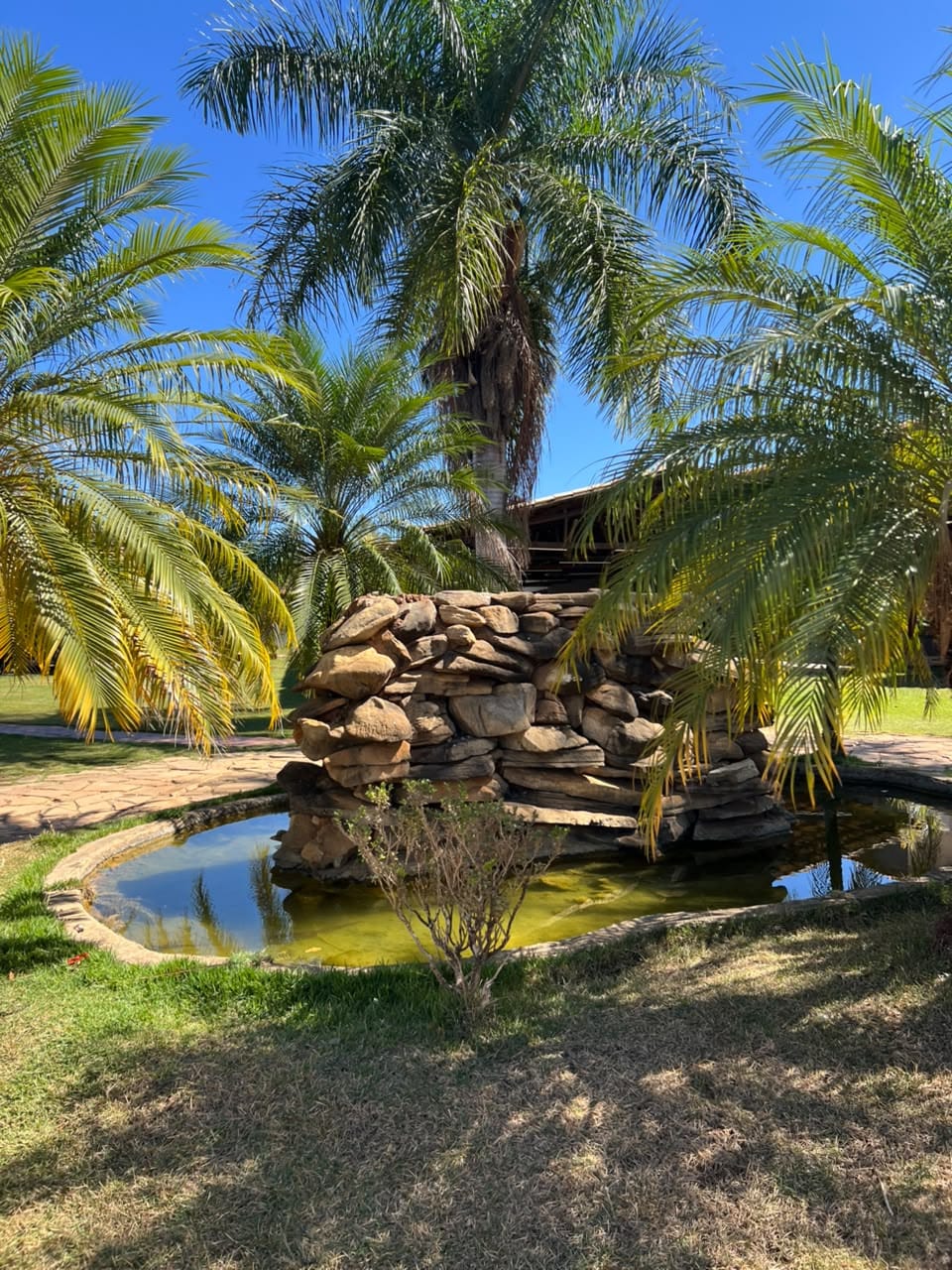 Fonte de pedras em jardim com palmeiras